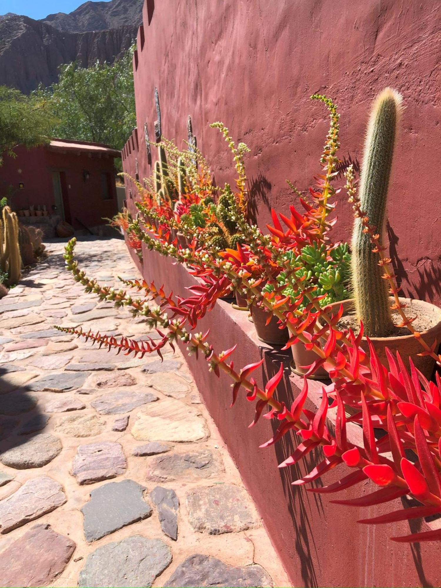 Posta De Purmamarca Bed & Breakfast Bagian luar foto