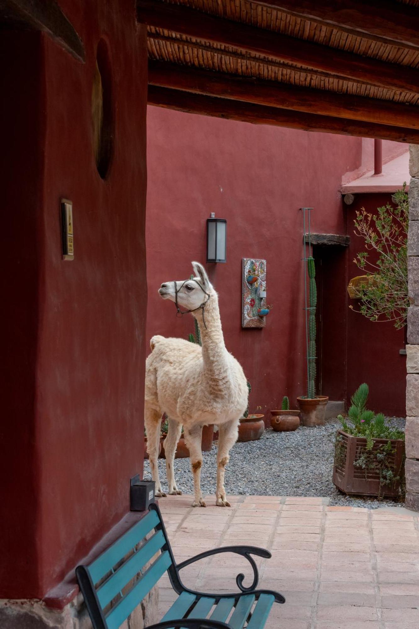 Posta De Purmamarca Bed & Breakfast Bagian luar foto