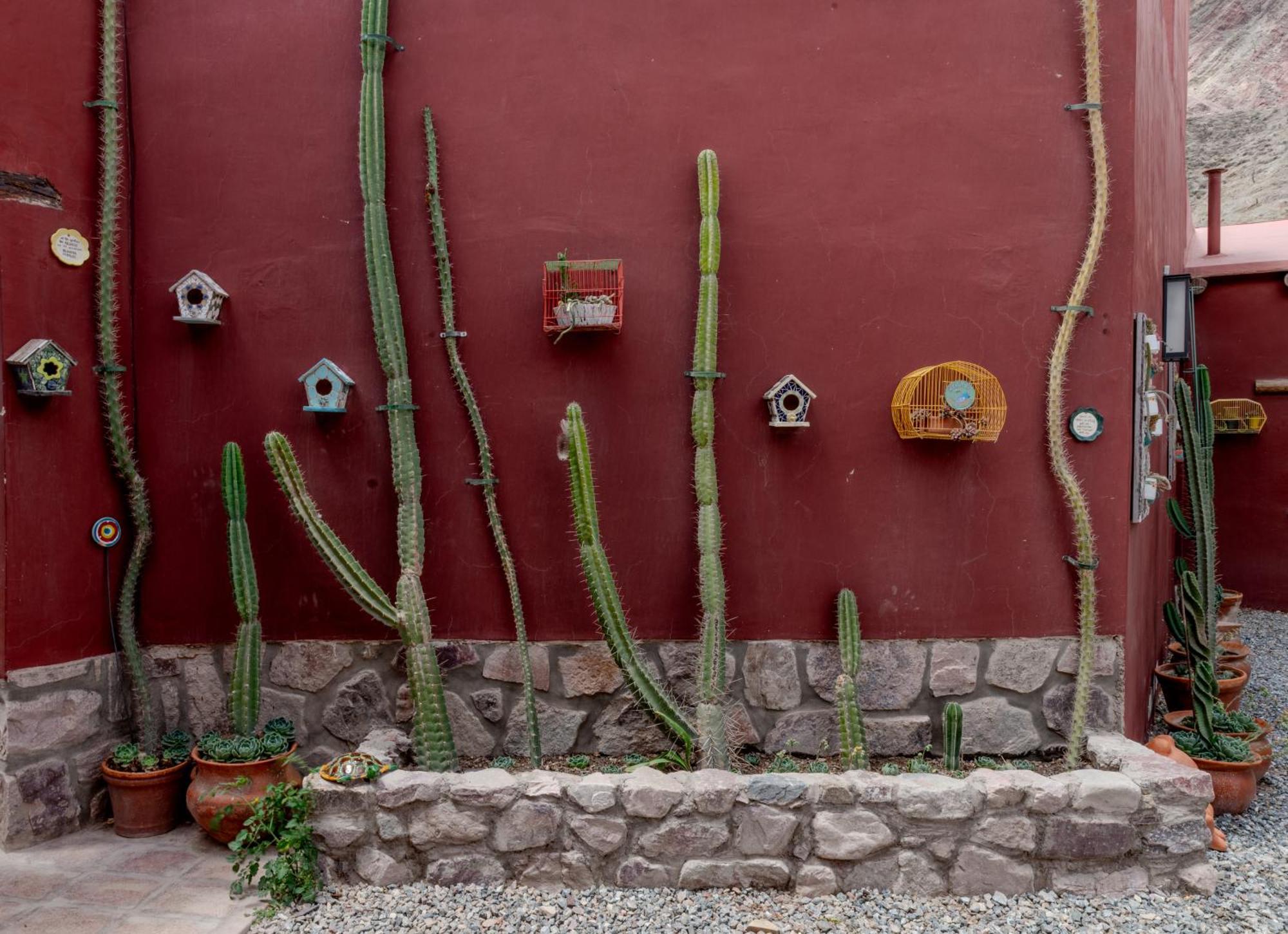 Posta De Purmamarca Bed & Breakfast Bagian luar foto