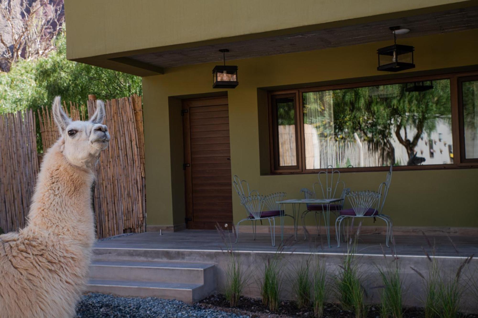 Posta De Purmamarca Bed & Breakfast Bagian luar foto